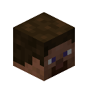 minecraft:item/player_head